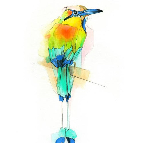 Aves 03