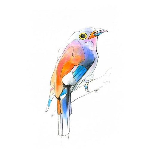 Aves 04