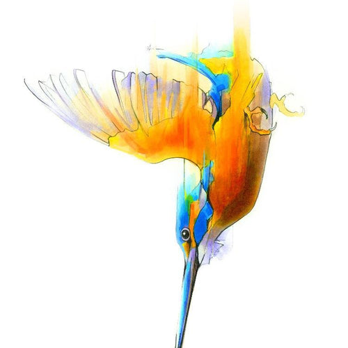 Aves 05