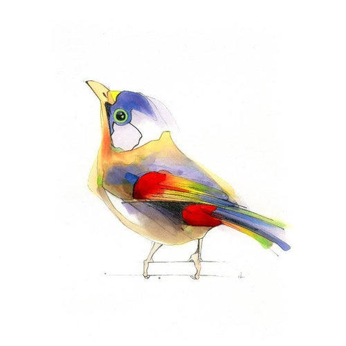 Aves 06