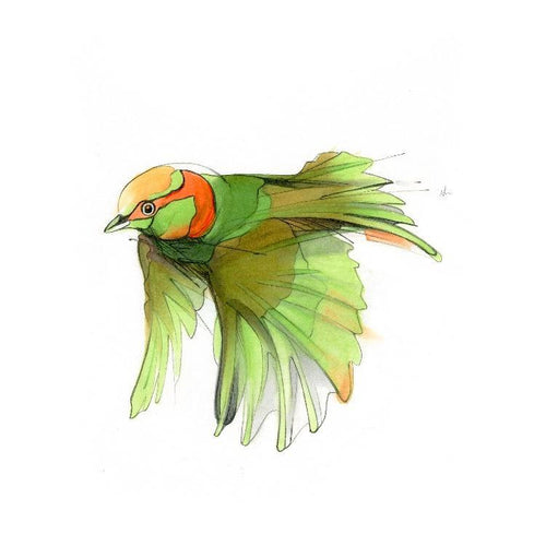 Aves 07