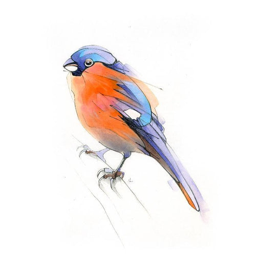 Aves 08