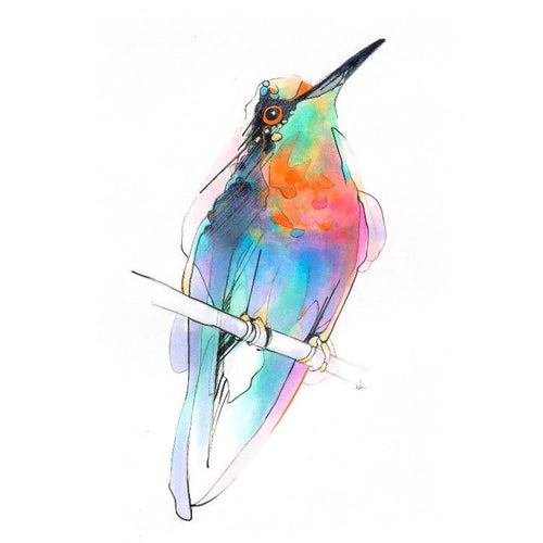 Aves 09