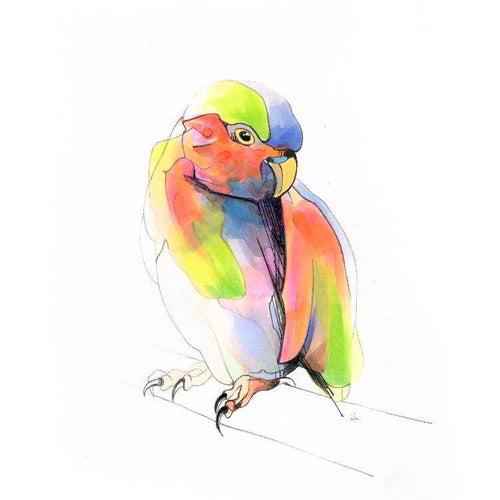 Aves 10