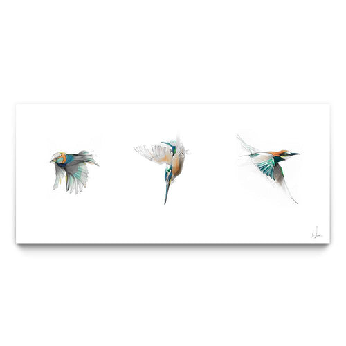 Flight