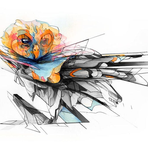 Owl