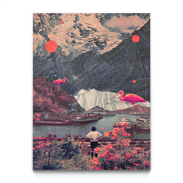 My Choices Left me Alone