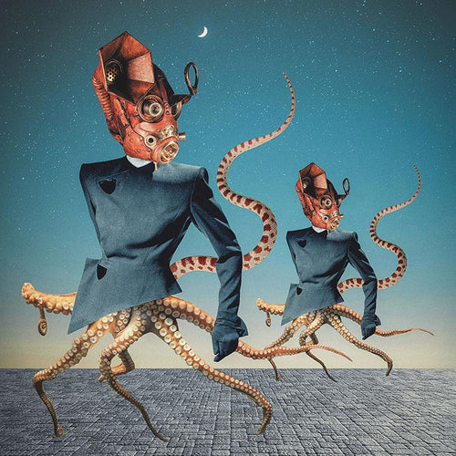 Octopus Kingdom