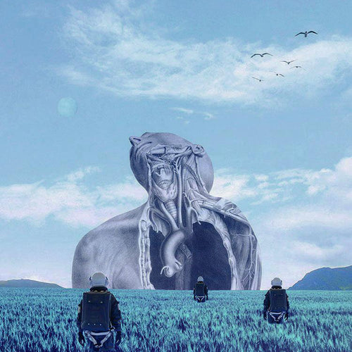 Explorers