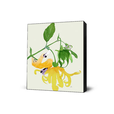 In The Garden Galaxy # 1