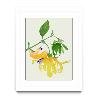 In The Garden Galaxy # 1