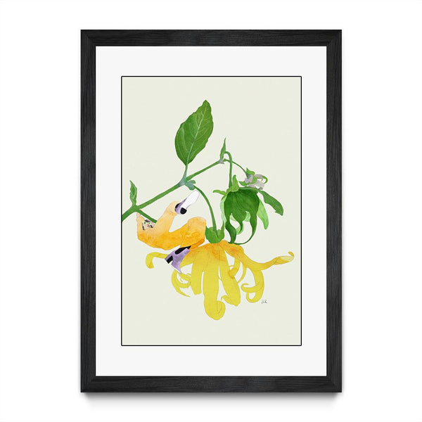 In The Garden Galaxy # 1