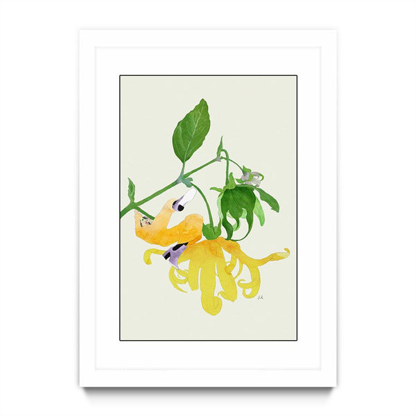 In The Garden Galaxy # 1