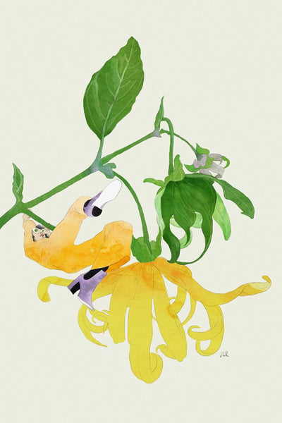 In The Garden Galaxy # 1