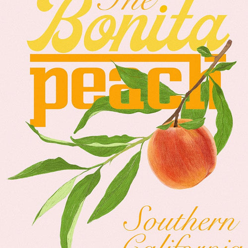 P & C Bonita Beach
