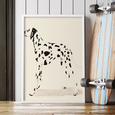 P & C Dalmation