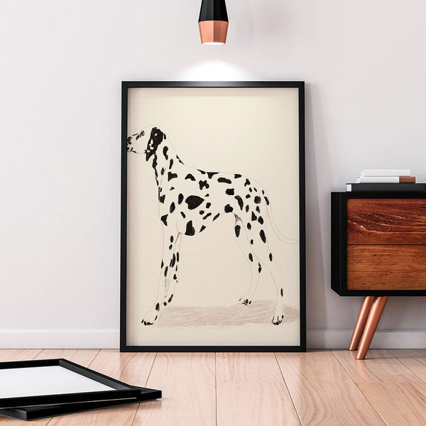 P & C Dalmation