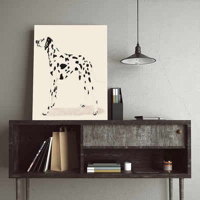 P & C Dalmation