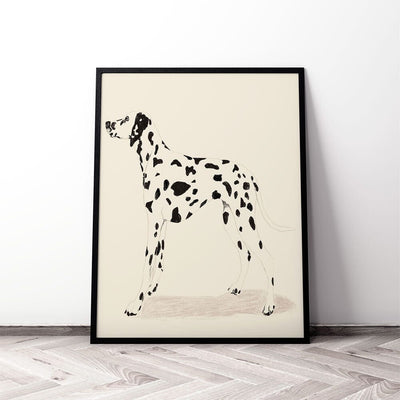 P & C Dalmation