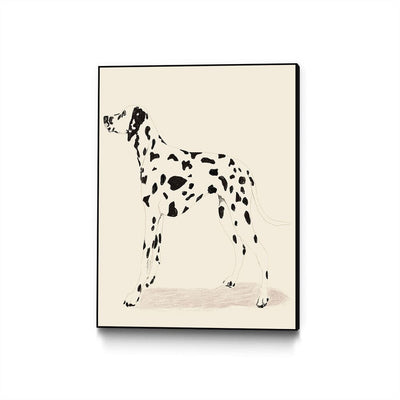 P & C Dalmation