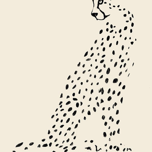 P & C Leopard