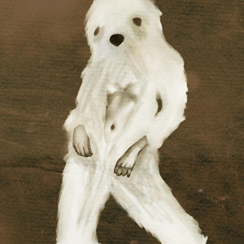 Yetti