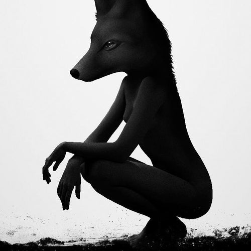 The Silent Wild