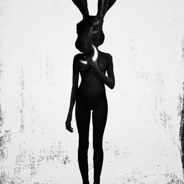 Lepus