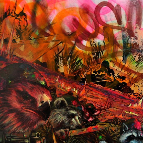 We Are Hawks Bears Deer and Raccoons