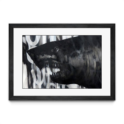 Black on Black Shark