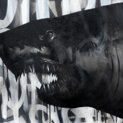 Black on Black Shark