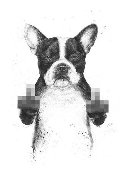 Censored Dog