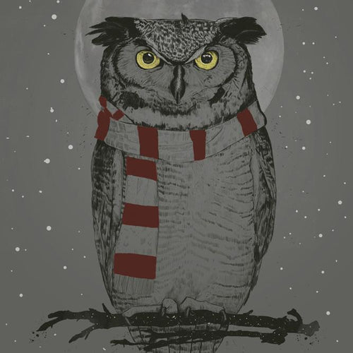 Winter Owl