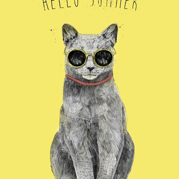 Hello Summer