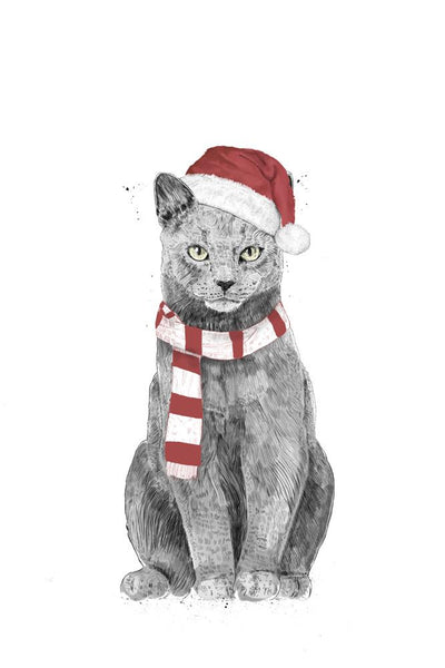 Christmas Cat