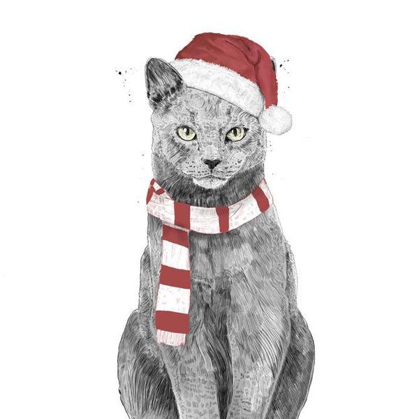 Christmas Cat