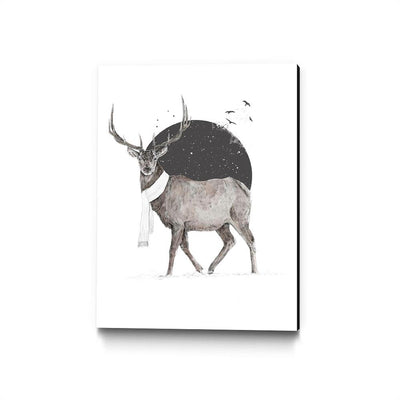 Winter is All Around