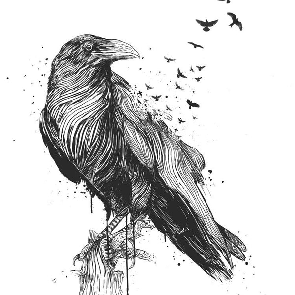 Born to be Free (b/w)