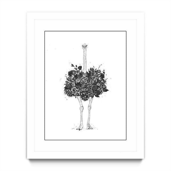 Floral Ostrich