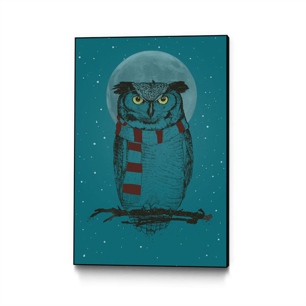 Winter Owl II