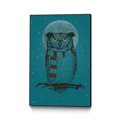 Winter Owl II