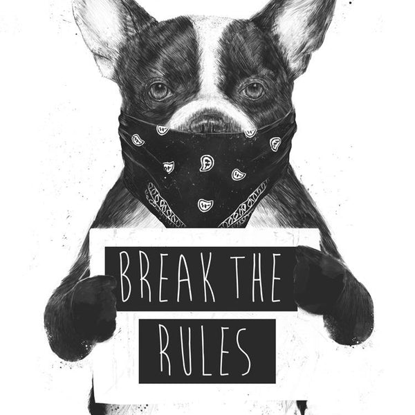 Rebel Dog