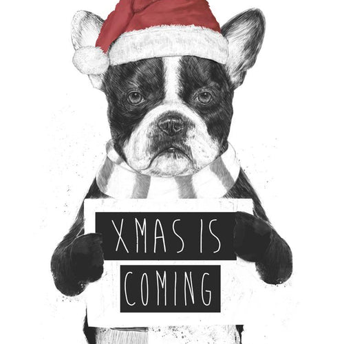Xmas is coming