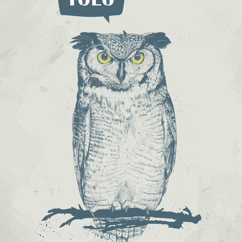YOLO