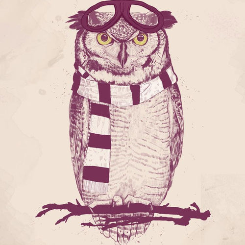 The Aviator