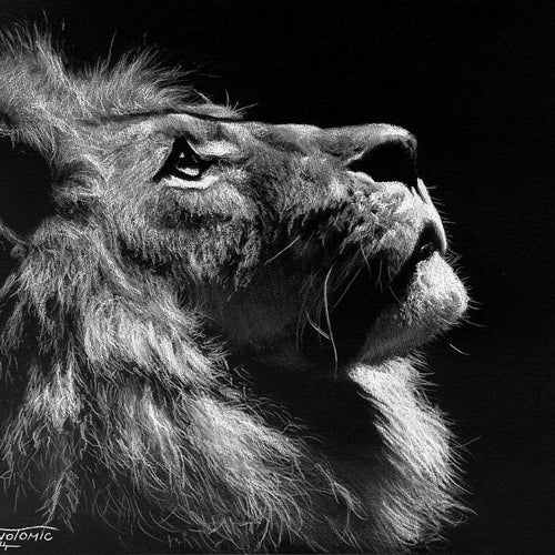 Inverted Lion