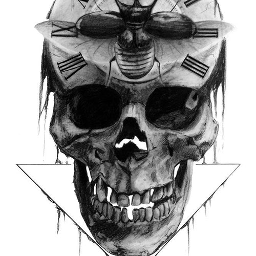 Skull