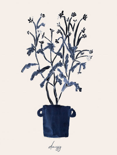 Daisy Blues