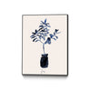 Ficus Blues