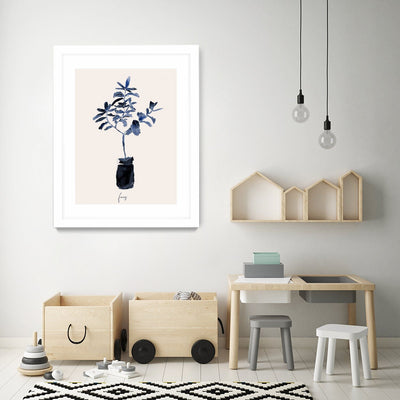 Ficus Blues